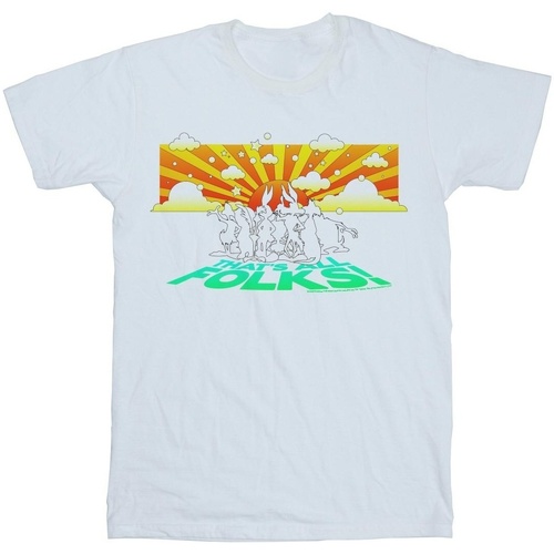 Abbigliamento Uomo T-shirts a maniche lunghe Dessins Animés Group Sunset Bianco