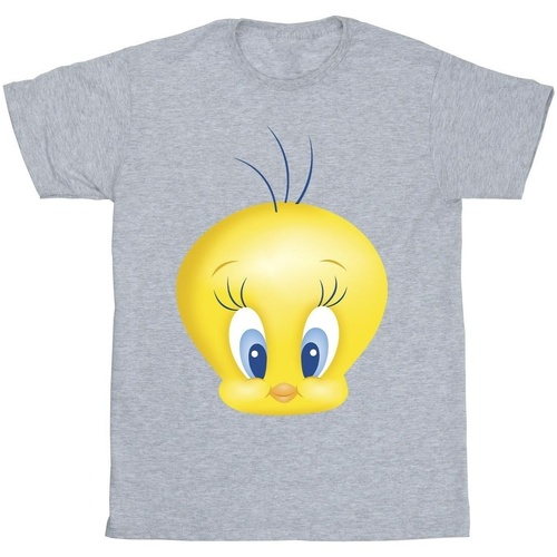 Abbigliamento Uomo T-shirts a maniche lunghe Dessins Animés Tweety Face Grigio