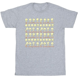 Abbigliamento Uomo T-shirts a maniche lunghe Dessins Animés Tweety Repeat Grigio