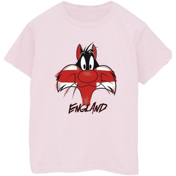 Abbigliamento Uomo T-shirts a maniche lunghe Dessins Animés Sylvester England Face Rosso