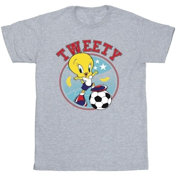 Abbigliamento Uomo T-shirts a maniche lunghe Dessins Animés Tweety Football Circle Grigio