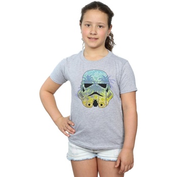 Abbigliamento Bambina T-shirts a maniche lunghe Disney Stormtrooper Command Hawaii Grigio