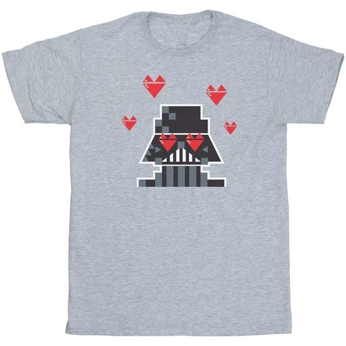 Abbigliamento Bambina T-shirts a maniche lunghe Disney Valentines Vader In Love Grigio