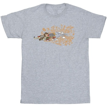 Abbigliamento Uomo T-shirts a maniche lunghe Dessins Animés ACME Doodles Wile E Coyote Grigio