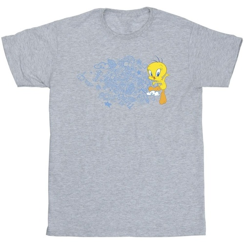 Abbigliamento Uomo T-shirts a maniche lunghe Dessins Animés ACME Doodles Tweety Grigio