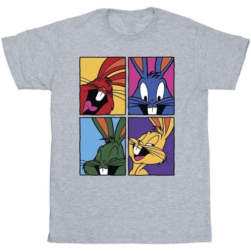 Abbigliamento Uomo T-shirts a maniche lunghe Dessins Animés Bugs Pop Art Grigio