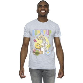 Abbigliamento Uomo T-shirts a maniche lunghe Dessins Animés Bunny Up Grigio