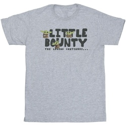 Abbigliamento Bambino T-shirt & Polo Star Wars The Mandalorian Little Bounty Hunter Grigio