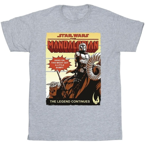 Abbigliamento Bambina T-shirts a maniche lunghe Star Wars The Mandalorian Bumpy Ride Grigio