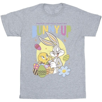 Abbigliamento Bambino T-shirt maniche corte Dessins Animés Bunny Up Grigio