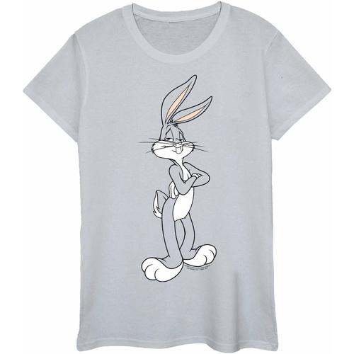Abbigliamento Donna T-shirts a maniche lunghe Dessins Animés Bugs Bunny Crossed Arms Grigio