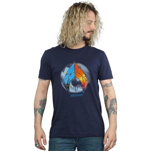Abbigliamento Uomo T-shirts a maniche lunghe Dc Comics Aquaman Tropical Logo Blu