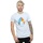 Abbigliamento Uomo T-shirts a maniche lunghe Dc Comics Aquaman Tropical Logo Grigio