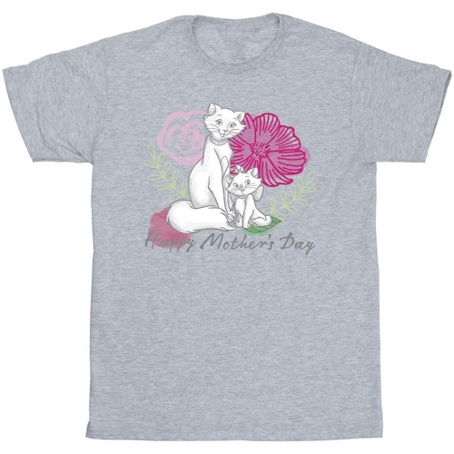 Abbigliamento Uomo T-shirts a maniche lunghe Disney The Aristocats Mother's Day Grigio