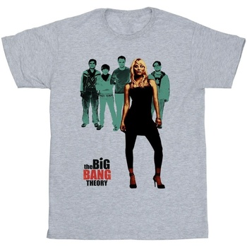 Abbigliamento Uomo T-shirts a maniche lunghe The Big Bang Theory Penny Standing Grigio