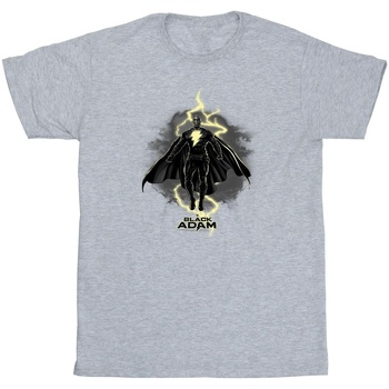 Abbigliamento Uomo T-shirts a maniche lunghe Dc Comics Black Adam Hovering Bolt Grigio