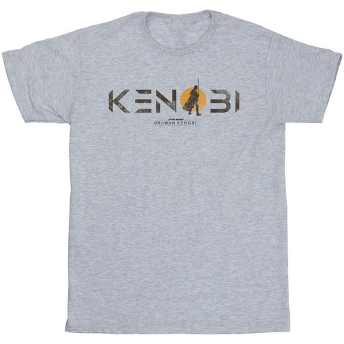 Abbigliamento Uomo T-shirts a maniche lunghe Star Wars: Obi-Wan Kenobi Kenobi Stance Grigio