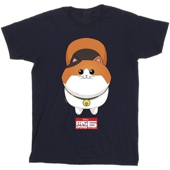 Abbigliamento Bambino T-shirt maniche corte Disney Big Hero 6 Baymax Kitten Face Blu