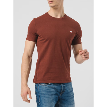 Abbigliamento Uomo T-shirt maniche corte Guess M2YI36-I3Z14 Marrone