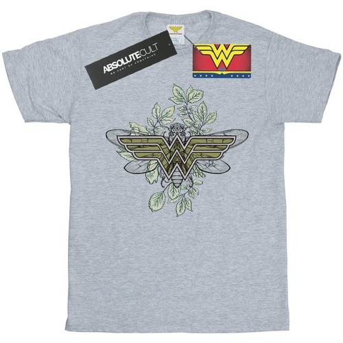 Abbigliamento Uomo T-shirts a maniche lunghe Dc Comics Wonder Woman Butterfly Logo Grigio