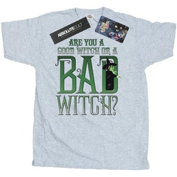 Abbigliamento Uomo T-shirts a maniche lunghe The Wizard Of Oz Good Witch Bad Witch Grigio
