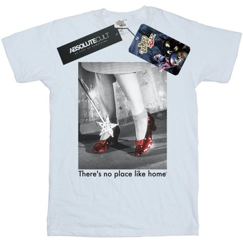 Abbigliamento Uomo T-shirts a maniche lunghe The Wizard Of Oz Ruby Slippers Photo Bianco