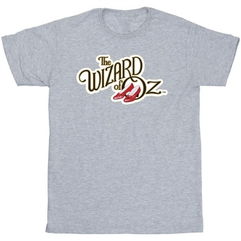 Abbigliamento Uomo T-shirts a maniche lunghe The Wizard Of Oz Shoes Logo Grigio