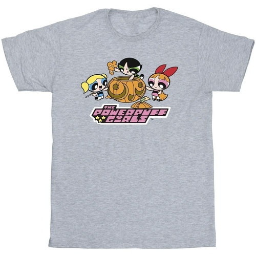 Abbigliamento Bambino T-shirt & Polo The Powerpuff Girls Girls Pumpkin Grigio
