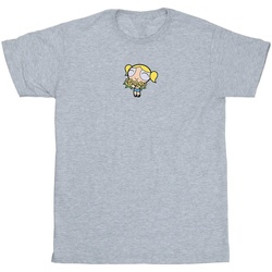 Abbigliamento Uomo T-shirts a maniche lunghe The Powerpuff Girls BI52490 Grigio