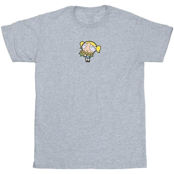 Abbigliamento Uomo T-shirts a maniche lunghe The Powerpuff Girls BI52490 Grigio