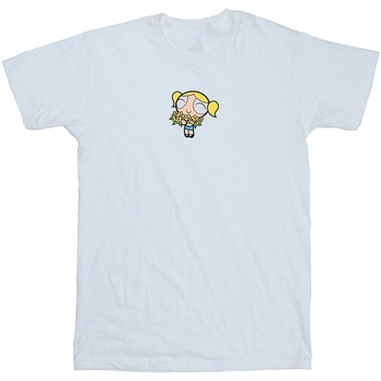 Abbigliamento Uomo T-shirts a maniche lunghe The Powerpuff Girls BI52490 Bianco