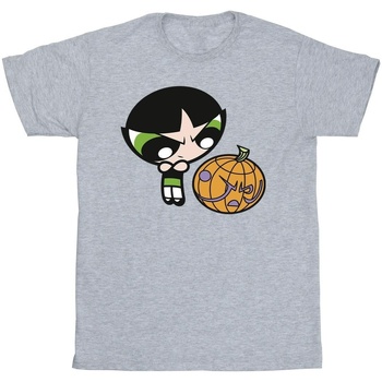 Abbigliamento Uomo T-shirts a maniche lunghe The Powerpuff Girls Girls Buttercup Pumpkin Grigio