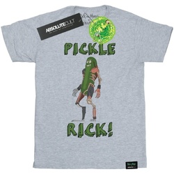Abbigliamento Uomo T-shirts a maniche lunghe Rick And Morty Pickle Rick Grigio