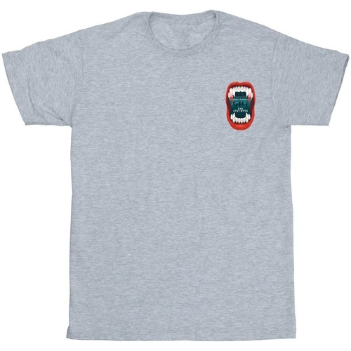 Abbigliamento Uomo T-shirts a maniche lunghe The Lost Boys Teeth Pocket Grigio