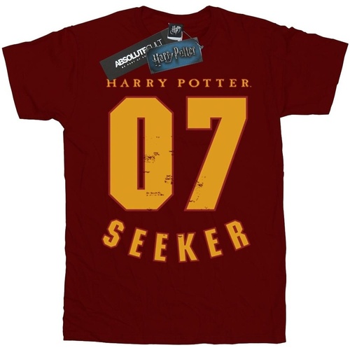 Abbigliamento Bambino T-shirt maniche corte Harry Potter Seeker 07 Multicolore