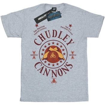 Abbigliamento Bambino T-shirt maniche corte Harry Potter Chudley Cannons Logo Grigio