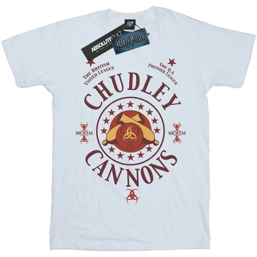 Abbigliamento Bambino T-shirt maniche corte Harry Potter Chudley Cannons Logo Bianco