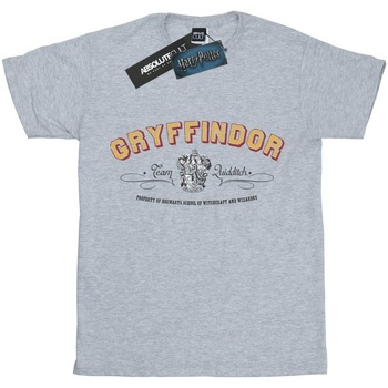 Abbigliamento Bambino T-shirt maniche corte Harry Potter Gryffindor Team Quidditch Grigio