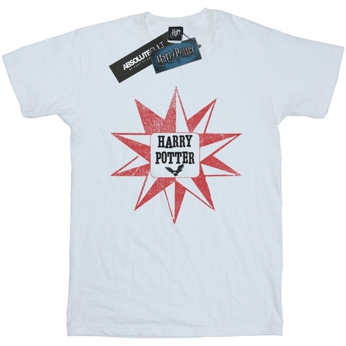 Abbigliamento Bambino T-shirt maniche corte Harry Potter Hedwig Star Bianco