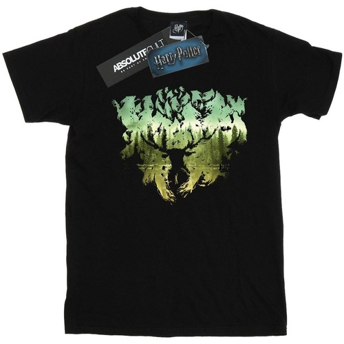Abbigliamento Bambino T-shirt maniche corte Harry Potter Magical Forest Nero