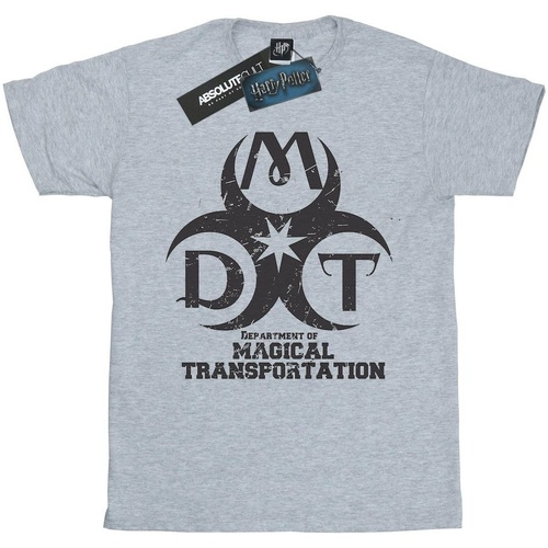 Abbigliamento Bambino T-shirt & Polo Harry Potter Department Of Magical Transportation Logo Grigio