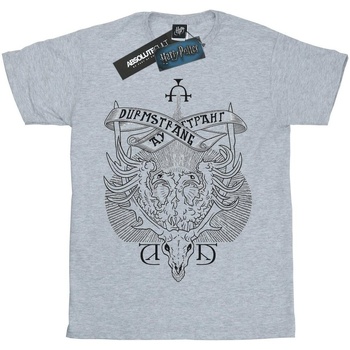 Abbigliamento Bambino T-shirt & Polo Harry Potter Durmstrang Institute Crest Grigio