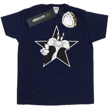 Abbigliamento Uomo T-shirts a maniche lunghe Dessins Animés Sylvester Mono Star Blu
