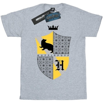 Abbigliamento Bambino T-shirt maniche corte Harry Potter Hufflepuff Shield Grigio
