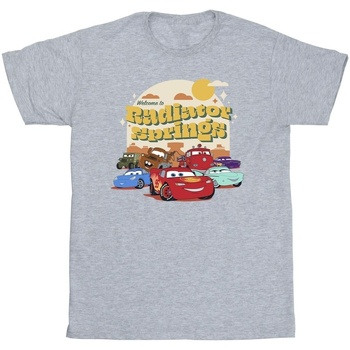 Abbigliamento Bambina T-shirts a maniche lunghe Disney Cars Radiator Springs Group Grigio