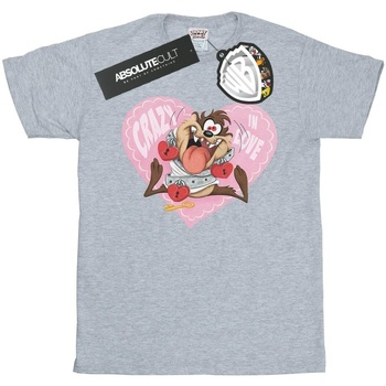 Abbigliamento Uomo T-shirts a maniche lunghe Dessins Animés Taz Valentine's Day Crazy In Love Grigio