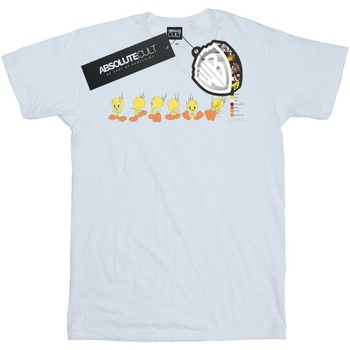 Abbigliamento Uomo T-shirts a maniche lunghe Dessins Animés Tweety Pie Colour Code Bianco