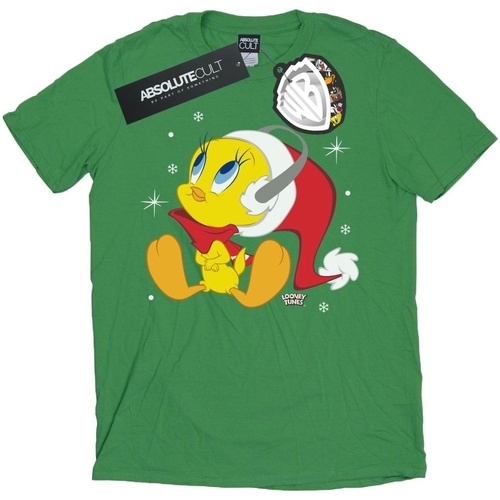 Abbigliamento Uomo T-shirts a maniche lunghe Dessins Animés Christmas Tweety Verde