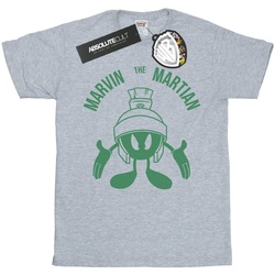 Abbigliamento Bambino T-shirt maniche corte Dessins Animés Marvin The Martian Large Head Grigio