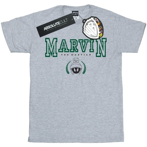 Abbigliamento Uomo T-shirts a maniche lunghe Dessins Animés Marvin The Martian Grigio
